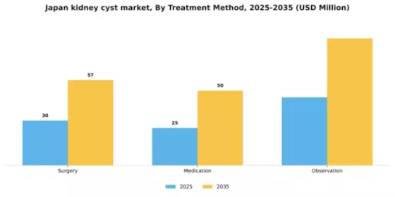 Japan Kidney Cyst Market Segment Image 2