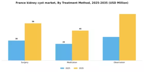 France Kidney Cyst Market Segment Image 2