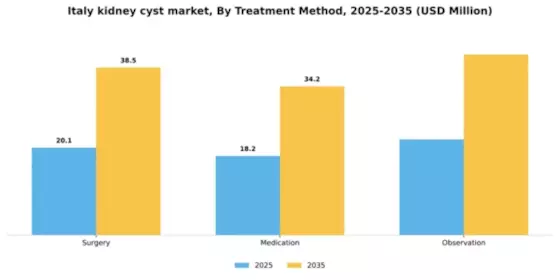 Italy Kidney Cyst Market Segment Image 2