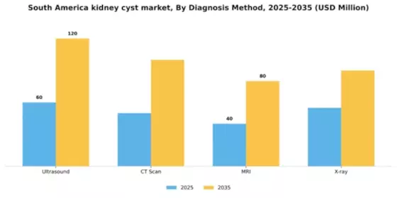 South America Kidney Cyst Market Segment Image 0