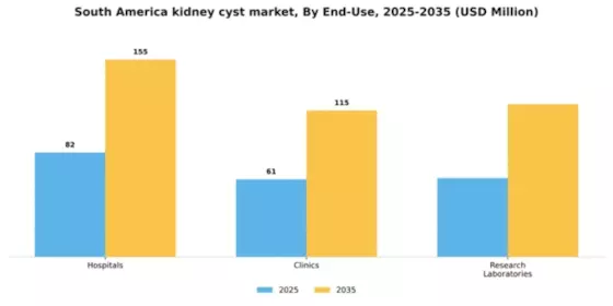 South America Kidney Cyst Market Segment Image 1