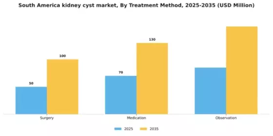 South America Kidney Cyst Market Segment Image 2