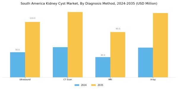 South America Kidney Cyst Market Segment Image 1