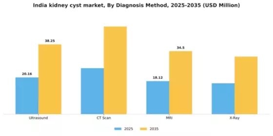 India Kidney Cyst Market Segment Image 0