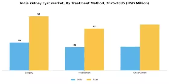 India Kidney Cyst Market Segment Image 2