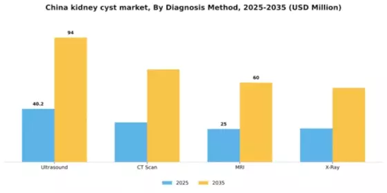 China Kidney Cyst Market Segment Image 0