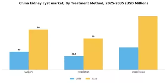 China Kidney Cyst Market Segment Image 2
