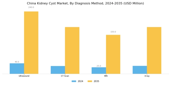 China Kidney Cyst Market Segment Image 1