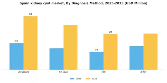 Spain Kidney Cyst Market Segment Image 0