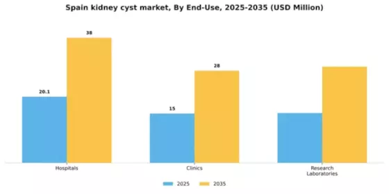 Spain Kidney Cyst Market Segment Image 1