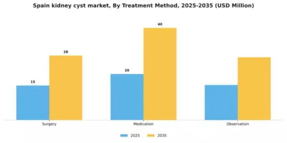 Spain Kidney Cyst Market Segment Image 2