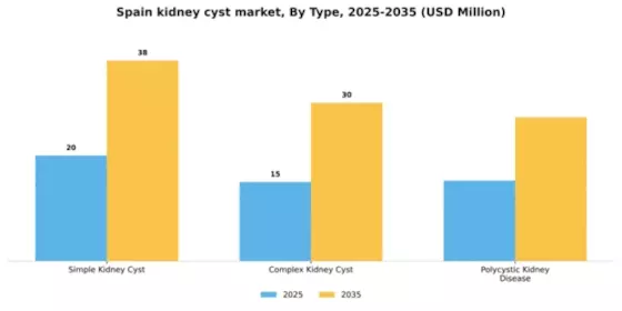 Spain Kidney Cyst Market Segment Image 3