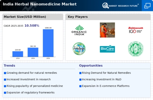 India Herbal Nanomedicine Market Infographic