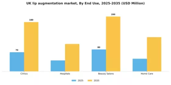 UK Lip Augmentation Market Segment Image 1