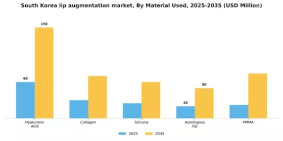 South Korea Lip Augmentation Market Segment Image 2
