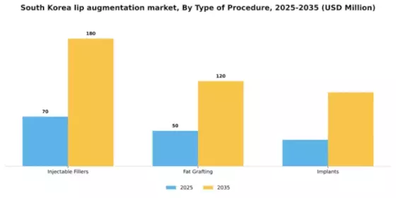 South Korea Lip Augmentation Market Segment Image 3