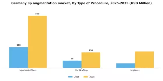 Germany Lip Augmentation Market Segment Image 3