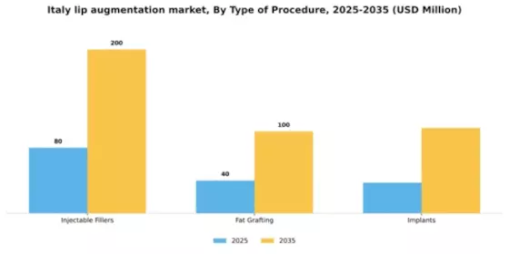 Italy Lip Augmentation Market Segment Image 3