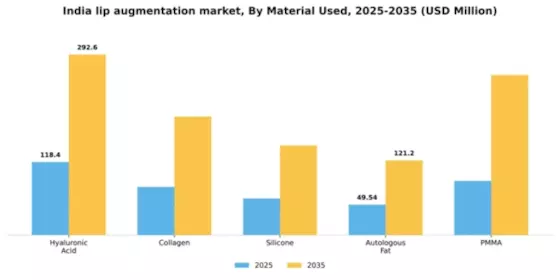 India Lip Augmentation Market Segment Image 2