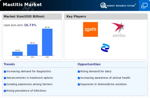 Mastitis Market Research Report - Forecast till 2032 Infographic
