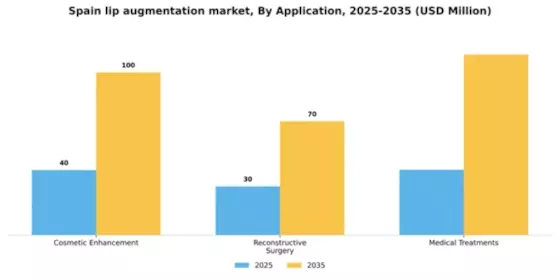 Spain Lip Augmentation Market Segment Image 0