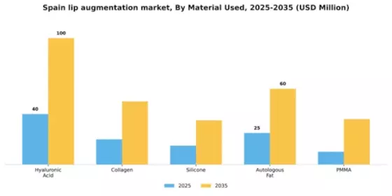 Spain Lip Augmentation Market Segment Image 2