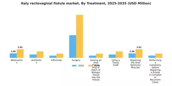 Italy Rectovaginal Fistula Market Segment Image 2