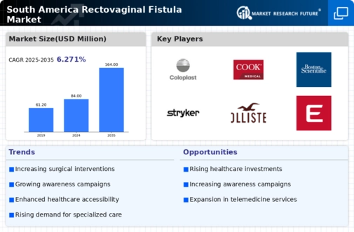 South America Rectovaginal Fistula Market Infographic