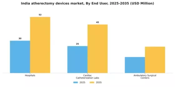 India Atherectomy Devices Market Segment Image 1