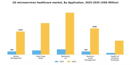US Microservices Healthcare Market
 Segment Image 0