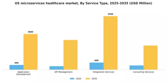 US Microservices Healthcare Market
 Segment Image 3