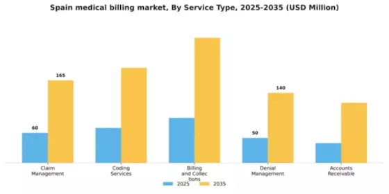 Spain Medical Billing Outsourcing Market Segment Image 2