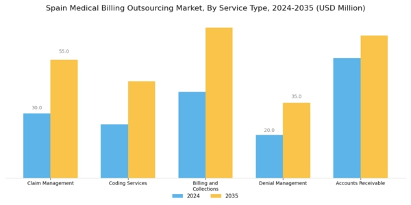 Spain Medical Billing Outsourcing Market Segment Image 0
