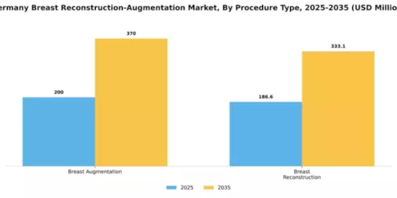 Germany Breast Reconstruction Augmentation Market Segment Image 2
