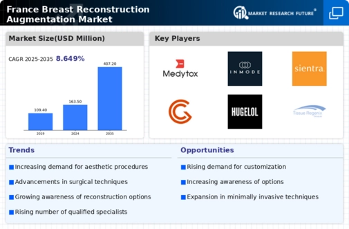 France Breast Reconstruction Augmentation Market Infographic