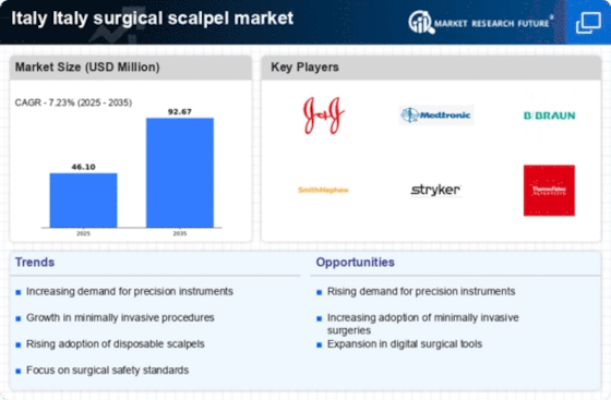 Italy Surgical Scalpel Market Infographic