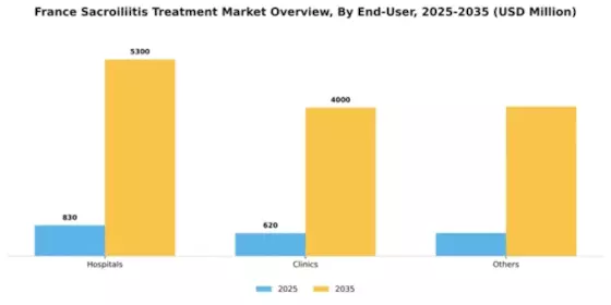 France Sacroiliitis Treatment Market Segment Image 0