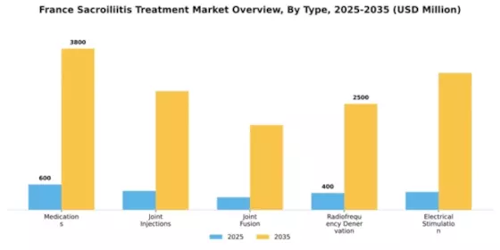 France Sacroiliitis Treatment Market Segment Image 1