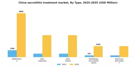 China Sacroiliitis Treatment Market Segment Image 1
