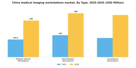 China Medical Imaging Workstations Market Segment Image 3