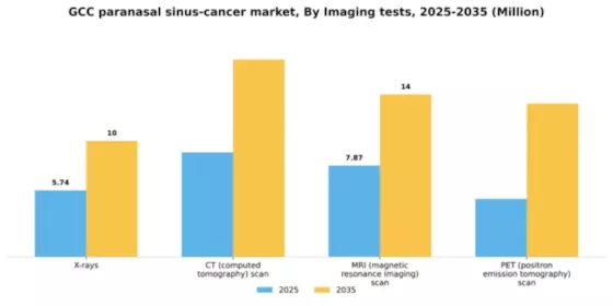 GCC Paranasal Sinus Cancer Market Segment Image 3