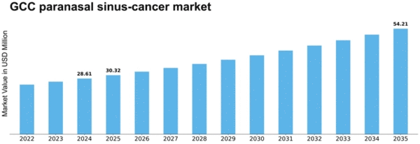GCC Paranasal Sinus Cancer Market Size