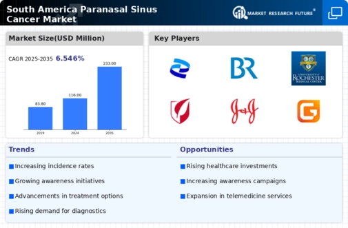 South America Paranasal Sinus Cancer Market Infographic