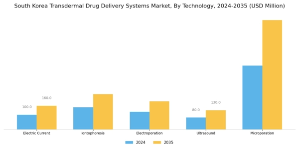 South Korea Transdermal Drug Delivery Systems Market Segment Image 1