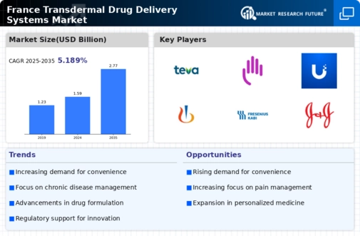 France Transdermal Drug Delivery Systems Market Infographic