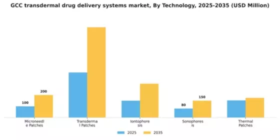 GCC Transdermal Drug Delivery Systems Market Segment Image 3