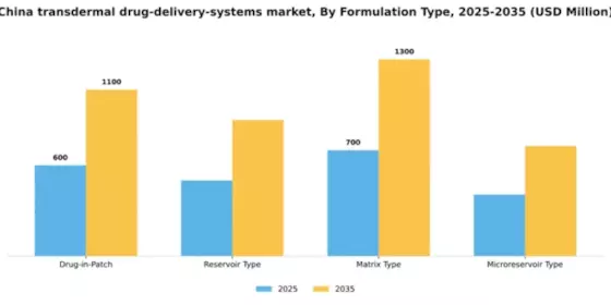 China Transdermal Drug Delivery Systems Market Segment Image 2