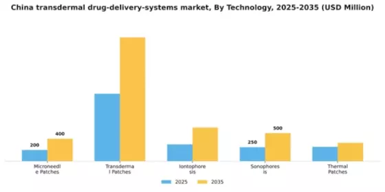 China Transdermal Drug Delivery Systems Market Segment Image 3