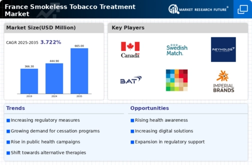 France Smokeless Tobacco Treatment Market Infographic