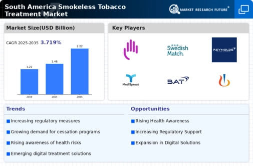 South America Smokeless Tobacco Treatment Market Infographic
